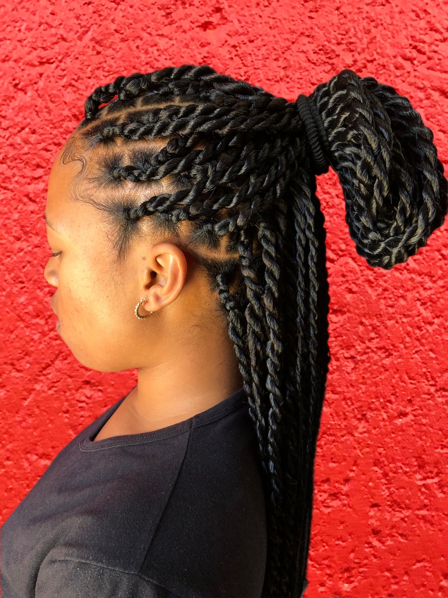 Twist braids – Dolamo Hair